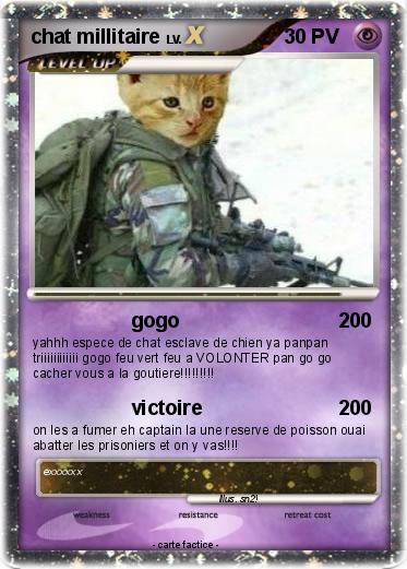 Pokemon chat millitaire