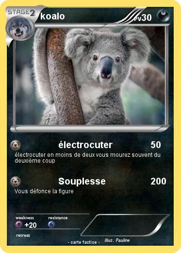 Pokemon koalo