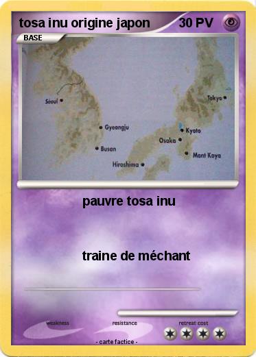 Pokemon tosa inu origine japon