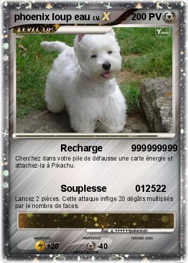 Pokemon phoenix loup eau
