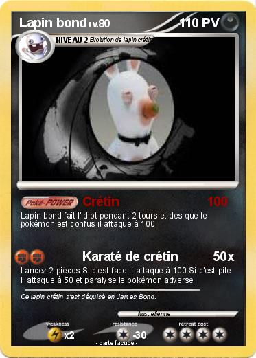 Pokemon Lapin bond