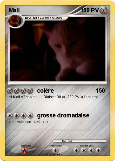 Pokemon Mali