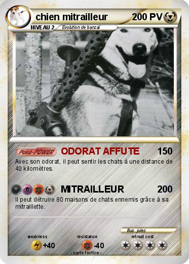 Pokemon chien mitrailleur