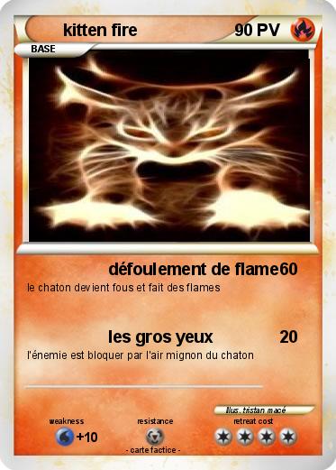 Pokemon kitten fire