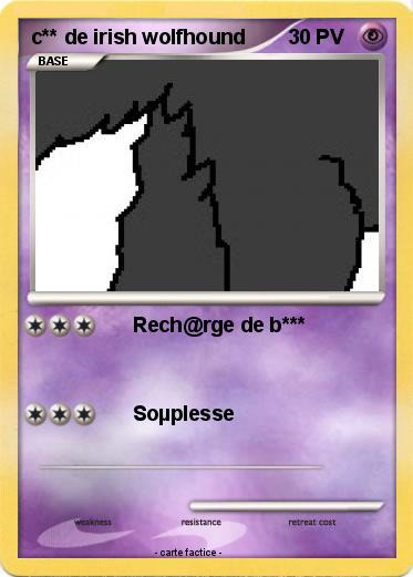 Pokemon c** de irish wolfhound