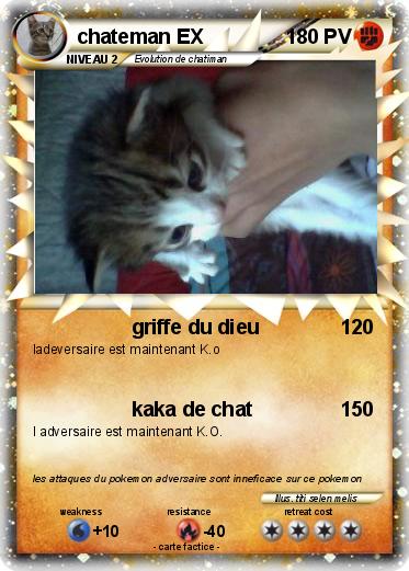 Pokemon chateman EX