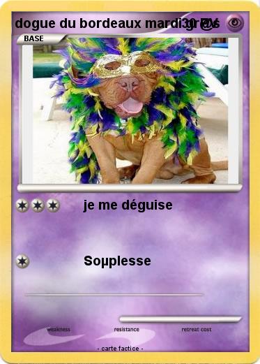 Pokemon dogue du bordeaux mardi gr@s
