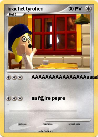 Pokemon brachet tyrolien