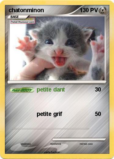Pokemon chatonminon