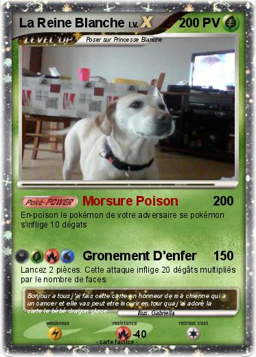 Pokemon La Reine Blanche