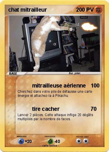 Pokemon chat mitrailleur