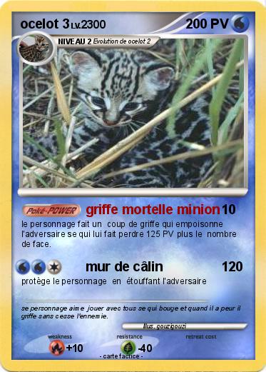 Pokemon ocelot 3