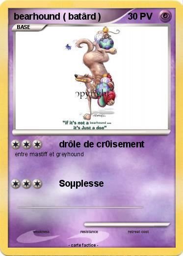 Pokemon bearhound ( batârd )