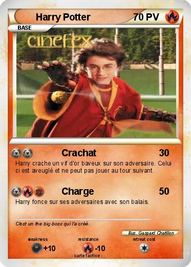 Pokemon Harry Potter