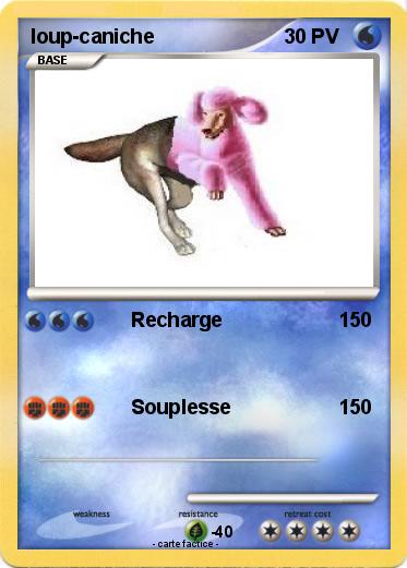 Pokemon loup-caniche