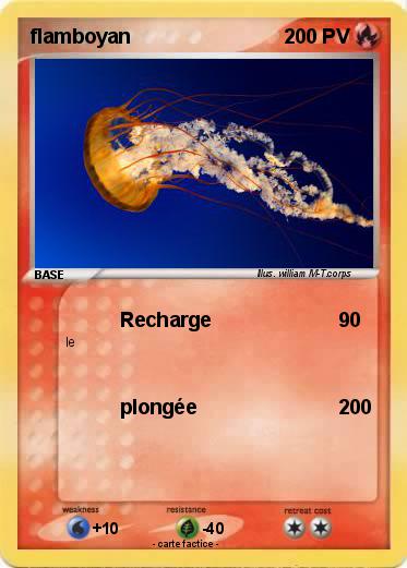 Pokemon flamboyan