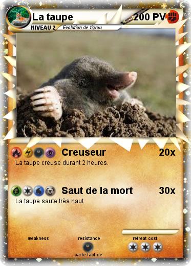 Pokemon La taupe