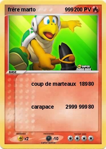Pokemon frère marto                    999