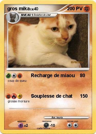 Pokemon gros mika