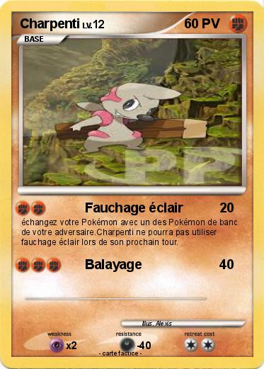 Pokemon Charpenti