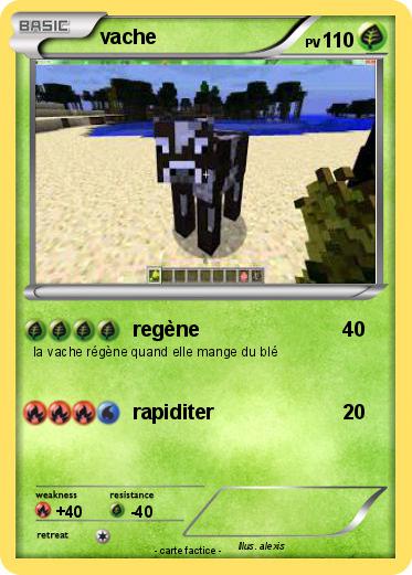 Pokemon vache