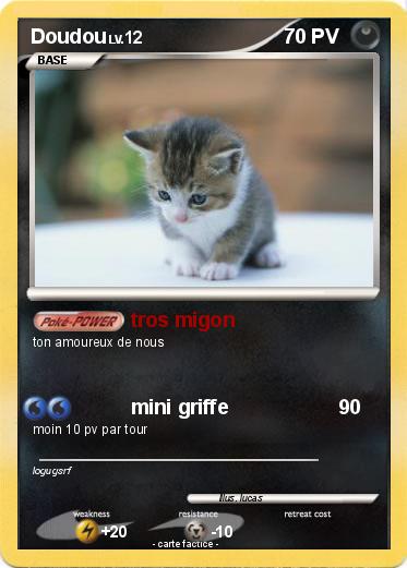 Pokemon Doudou