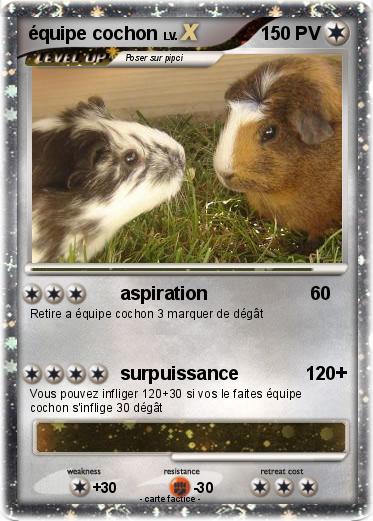 Pokemon équipe cochon