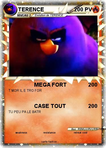 Pokemon TERENCE