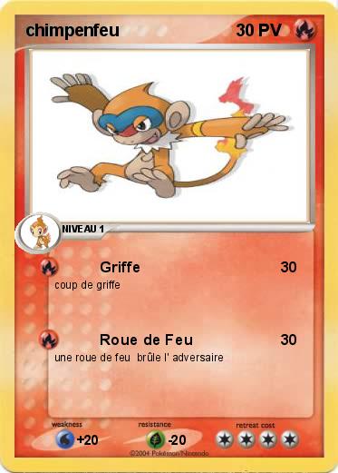 Pokemon chimpenfeu