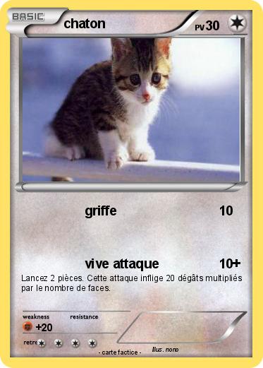 Pokemon chaton