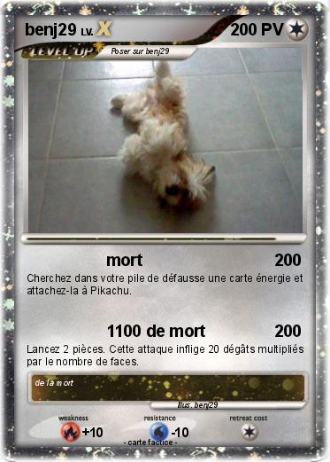 Pokemon benj29