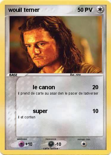 Pokemon wouil terner