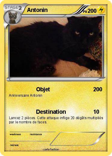 Pokemon Antonin