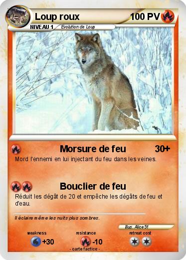 Pokemon Loup roux
