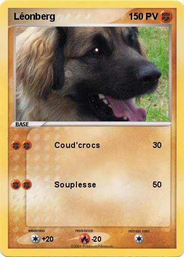 Pokemon Léonberg