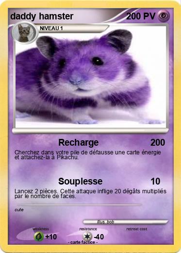 Pokemon daddy hamster