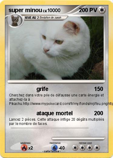 Pokemon super minou