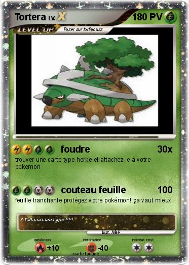 Pokemon Tortera