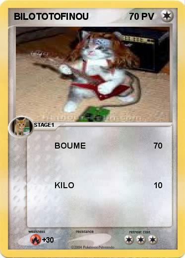 Pokemon BILOTOTOFINOU