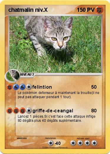 Pokemon chatmalin niv.X