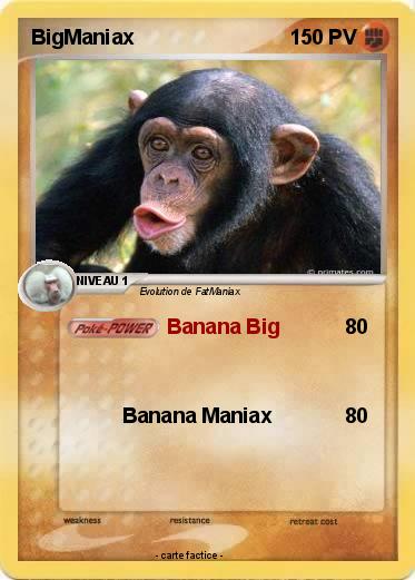 Pokemon BigManiax
