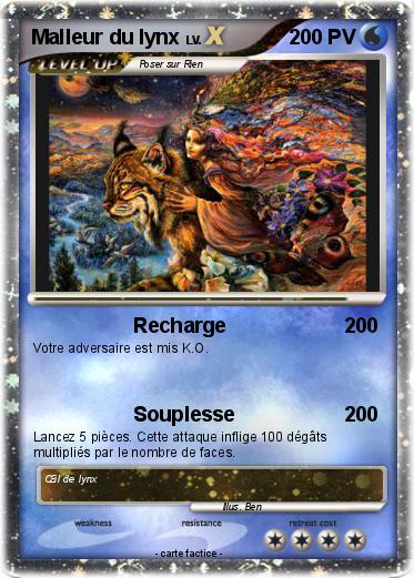 Pokemon Malleur du lynx