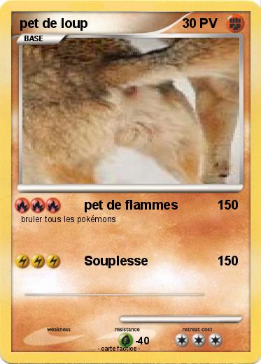 Pokemon pet de loup