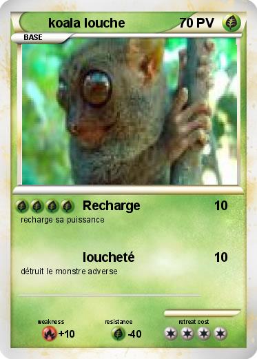 Pokemon koala louche