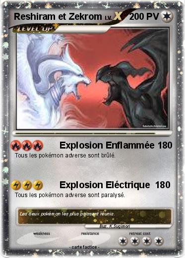 Pokemon Reshiram et Zekrom