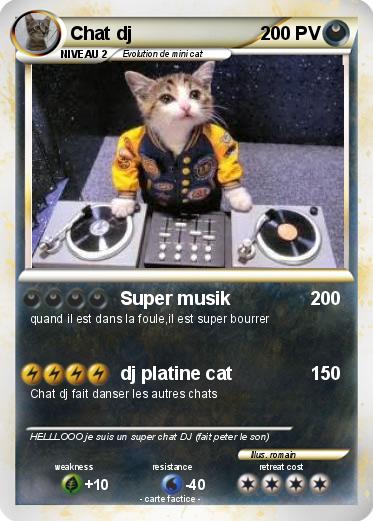 Pokemon Chat dj