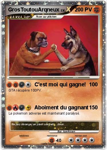 Pokemon GrosToutouArqneux