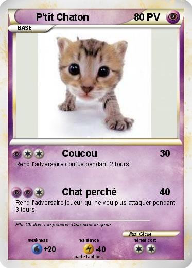 Pokemon P'tit Chaton