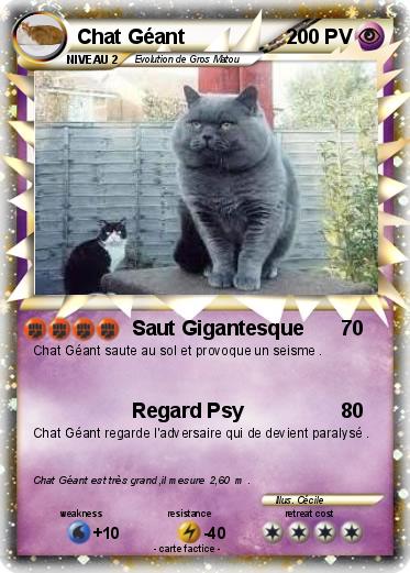 Pokemon Chat Géant