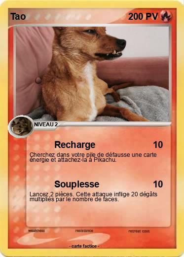 Pokemon Tao
